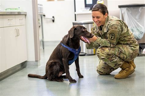 military veterinarian locations.